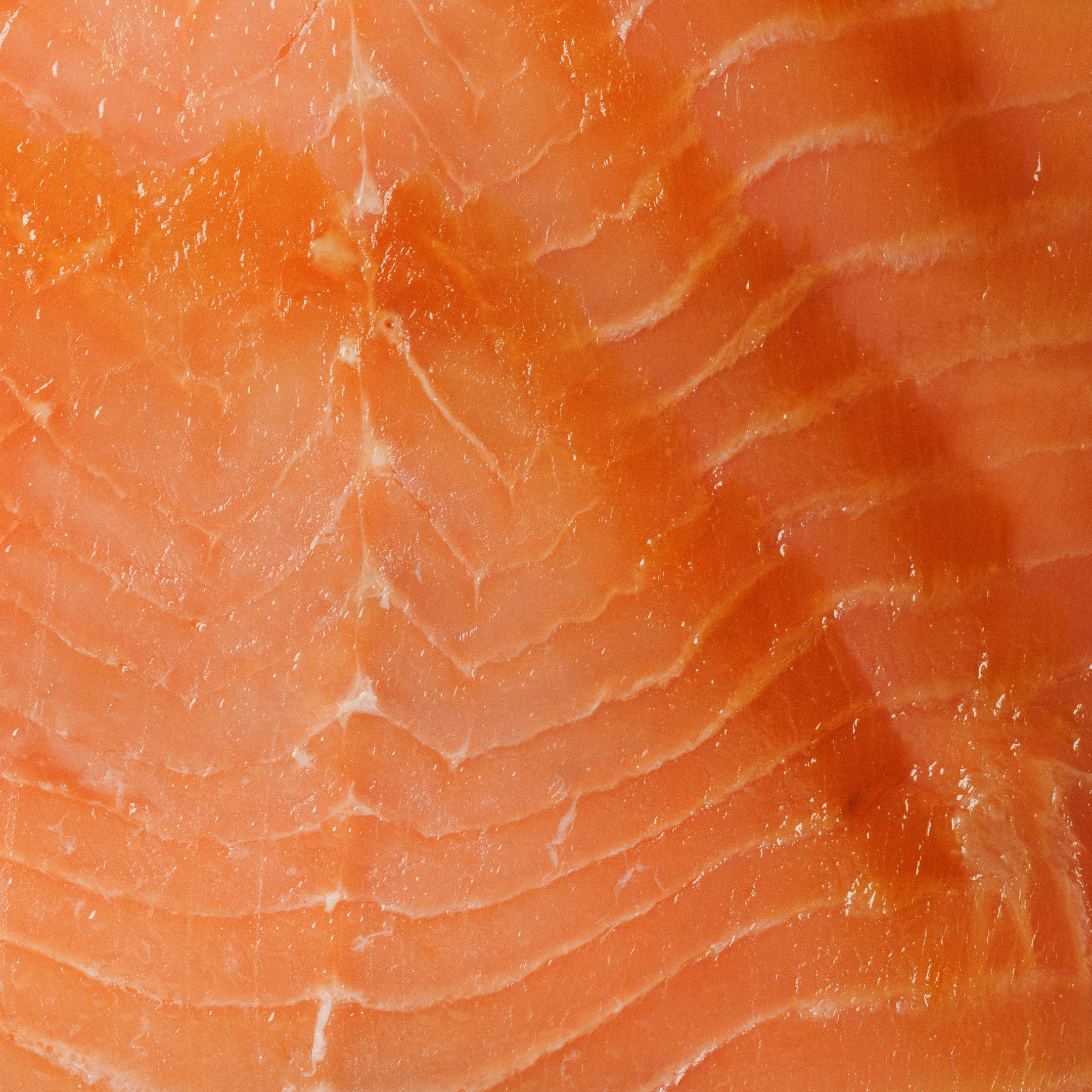 Salmão Fumado 1